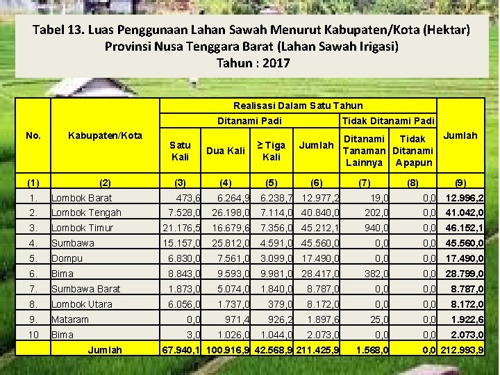 Tabel 13. Luas Penggunaan Lahan Sawah Menurut Kabupaten/Kota (Hektar) Provinsi Nusa Tenggara Barat (Lahan