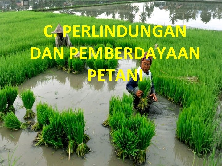 C. PERLINDUNGAN DAN PEMBERDAYAAN PETANI 