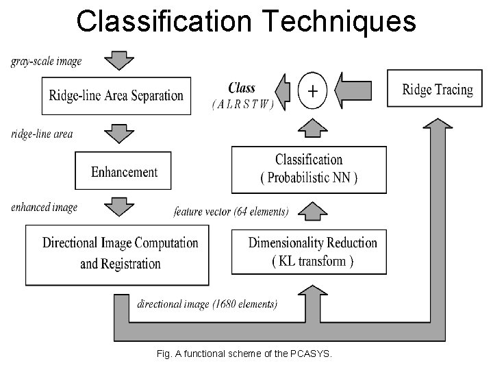 Classification Techniques Fig. A functional scheme of the PCASYS. 