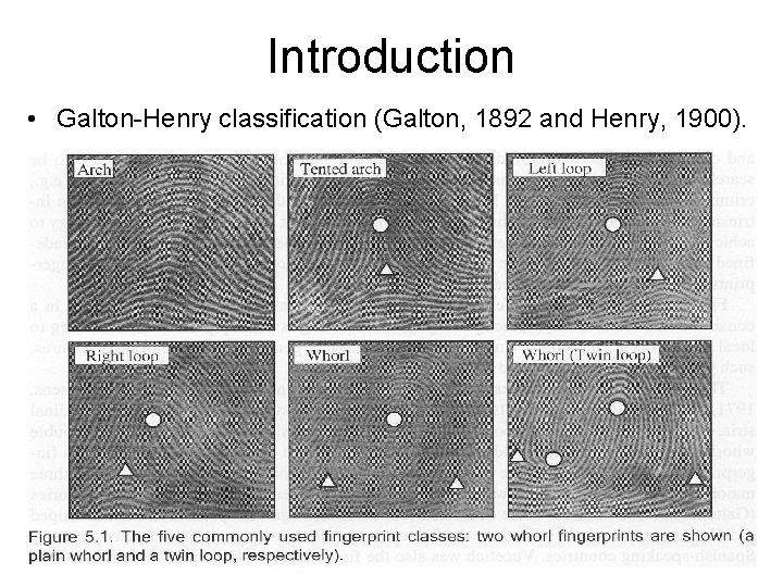 Introduction • Galton-Henry classification (Galton, 1892 and Henry, 1900). 