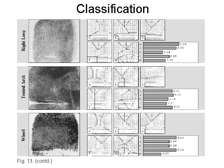 Classification Fig. 13. (contd. ) 