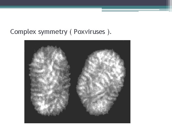 Complex symmetry ( Poxviruses ). 