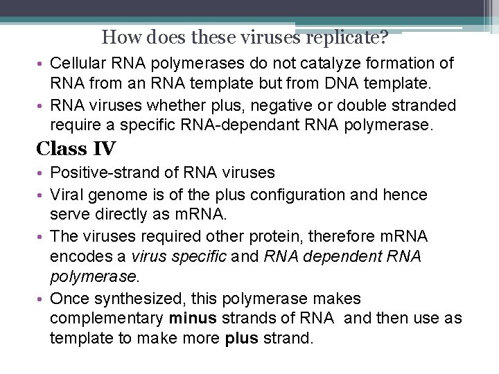 How does these viruses replicate? • Cellular RNA polymerases do not catalyze formation of