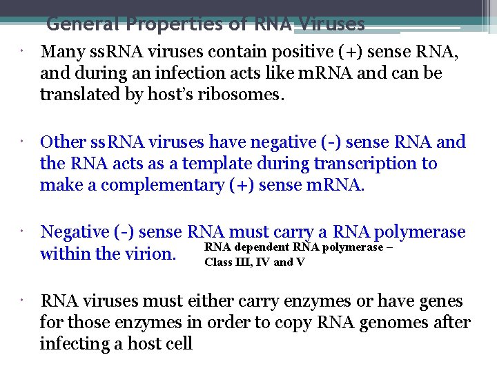 General Properties of RNA Viruses Many ss. RNA viruses contain positive (+) sense RNA,