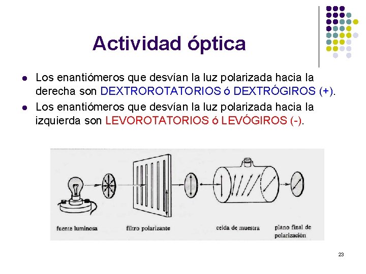Actividad óptica l l Los enantiómeros que desvían la luz polarizada hacia la derecha Actividad óptica l l Los enantiómeros que desvían la luz polarizada hacia la derecha