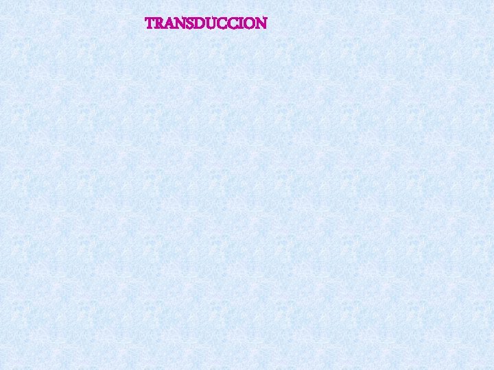 TRANSDUCCION 