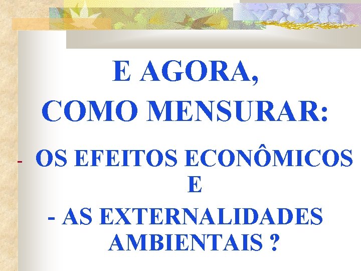E AGORA, COMO MENSURAR: - OS EFEITOS ECONÔMICOS E - AS EXTERNALIDADES AMBIENTAIS ?