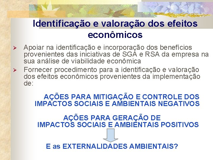 Identificação e valoração dos efeitos econômicos Apoiar na identificação e incorporação dos benefícios provenientes