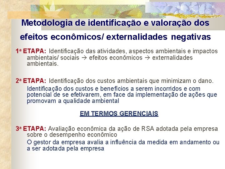 Metodologia de identificação e valoração dos efeitos econômicos/ externalidades negativas 1 a ETAPA: Identificação