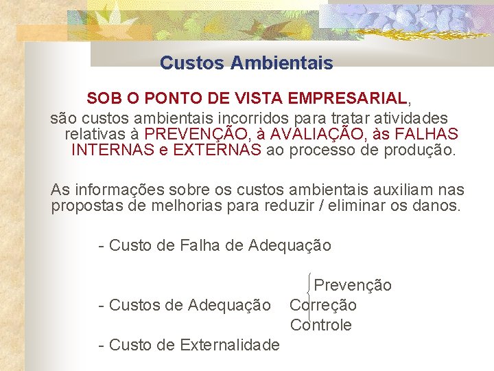Custos Ambientais SOB O PONTO DE VISTA EMPRESARIAL, são custos ambientais incorridos para tratar