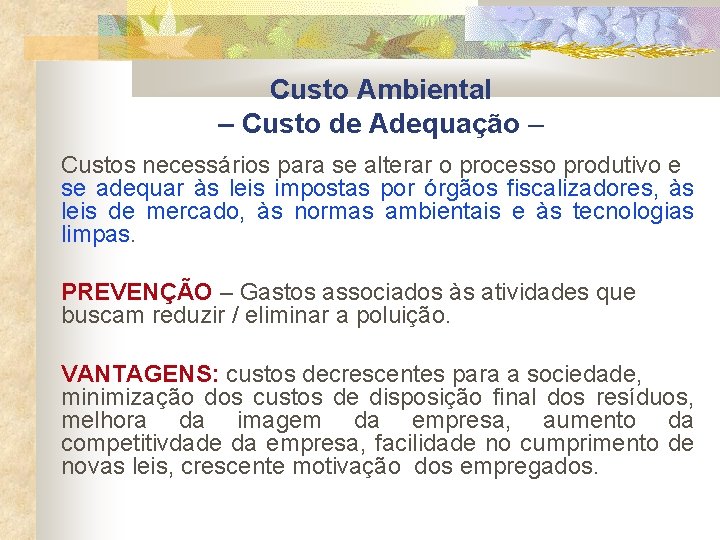 Custo Ambiental – Custo de Adequação – Custos necessários para se alterar o processo