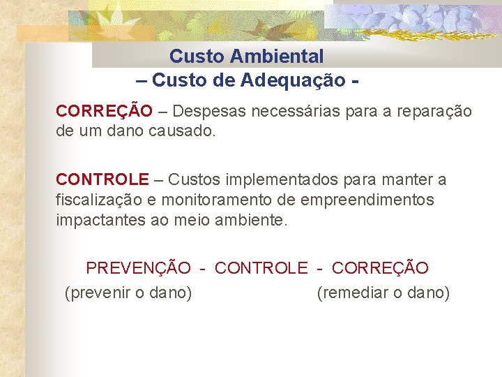 Custo Ambiental – Custo de Adequação CORREÇÃO – Despesas necessárias para a reparação de