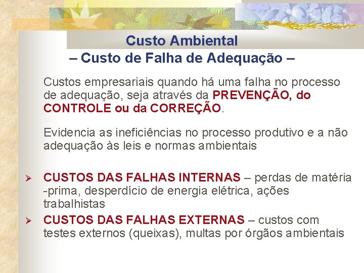 Custo Ambiental – Custo de Falha de Adequação – Custos empresariais quando há uma