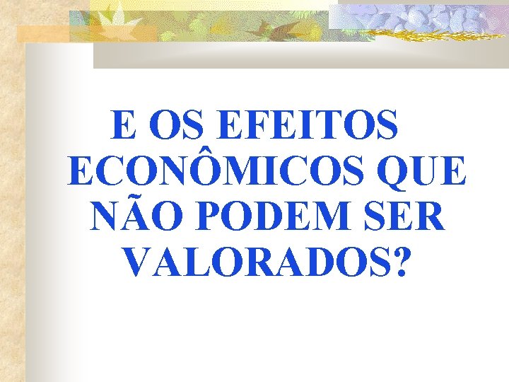 E OS EFEITOS ECONÔMICOS QUE NÃO PODEM SER VALORADOS? 