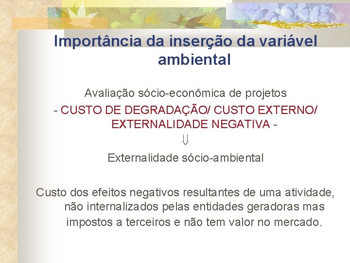 Importância da inserção da variável ambiental Avaliação sócio-econômica de projetos - CUSTO DE DEGRADAÇÃO/