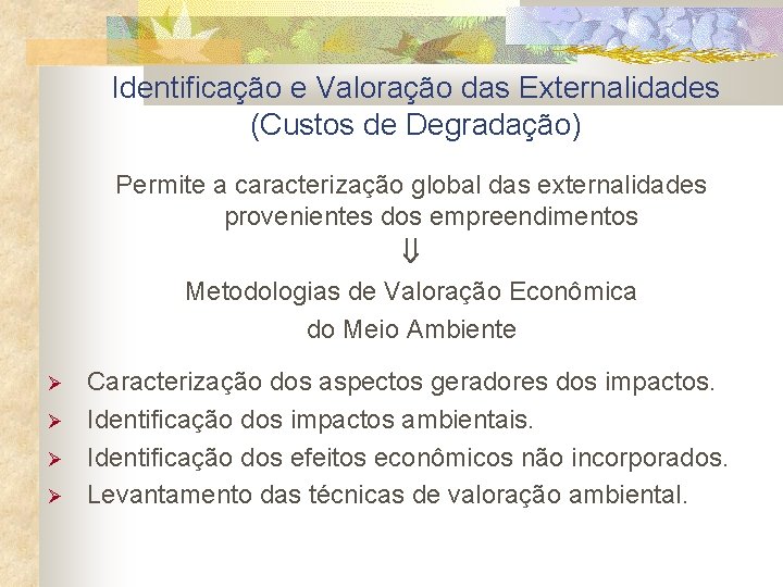 Identificação e Valoração das Externalidades (Custos de Degradação) Permite a caracterização global das externalidades