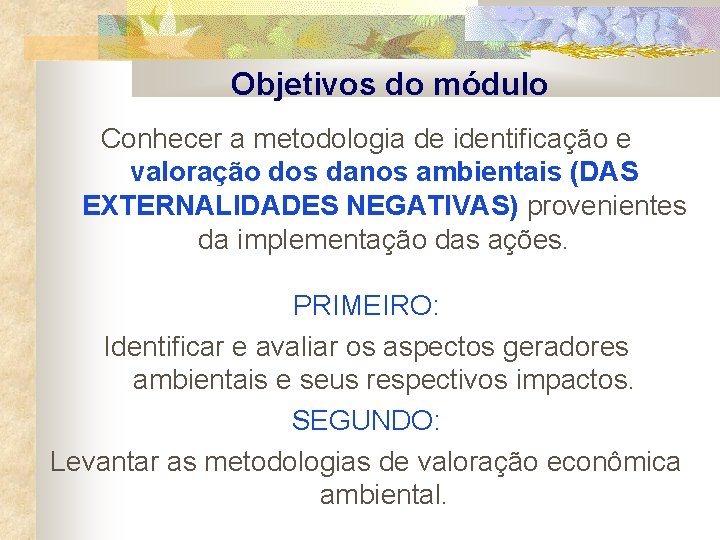 Objetivos do módulo Conhecer a metodologia de identificação e valoração dos danos ambientais (DAS