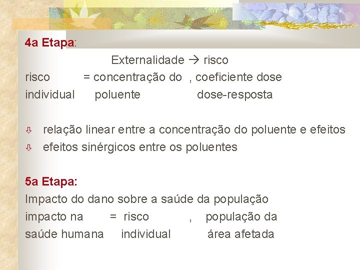 4 a Etapa: Externalidade risco = concentração do , coeficiente dose individual poluente dose-resposta