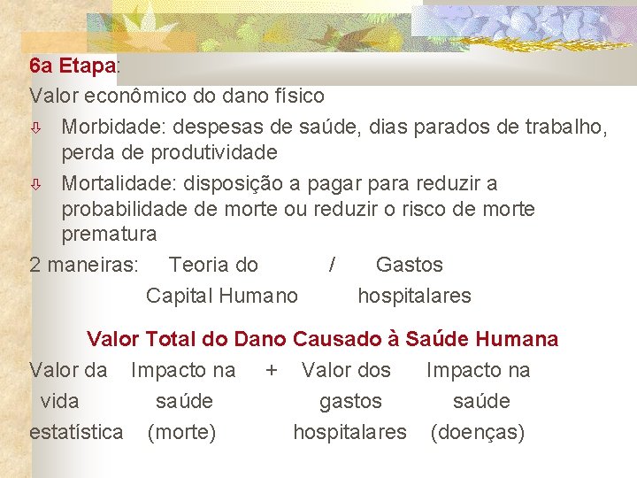 6 a Etapa: Valor econômico do dano físico Morbidade: despesas de saúde, dias parados