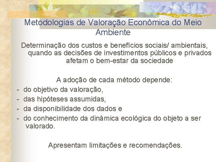Metodologias de Valoração Econômica do Meio Ambiente Determinação dos custos e benefícios sociais/ ambientais,