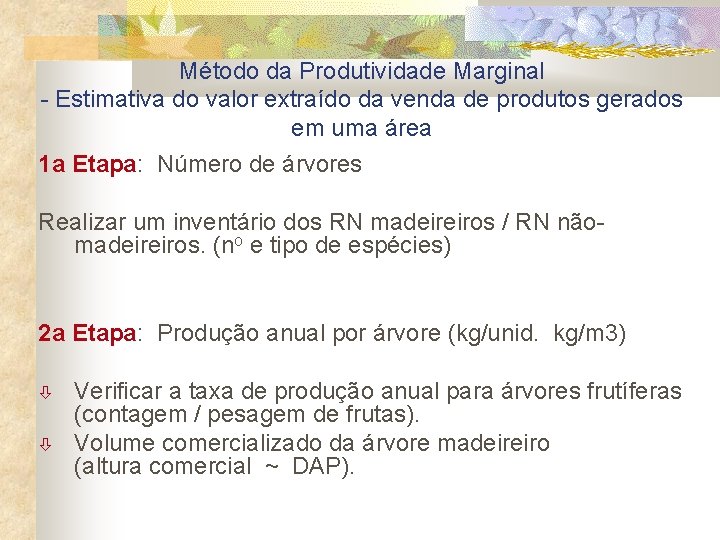 Método da Produtividade Marginal - Estimativa do valor extraído da venda de produtos gerados
