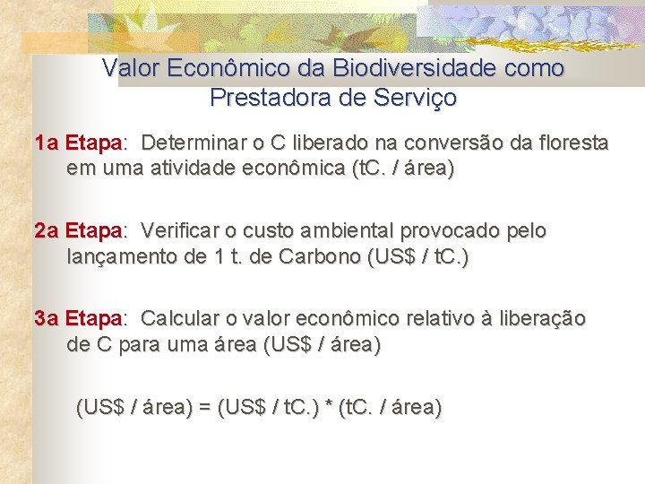 Valor Econômico da Biodiversidade como Prestadora de Serviço 1 a Etapa: Determinar o C