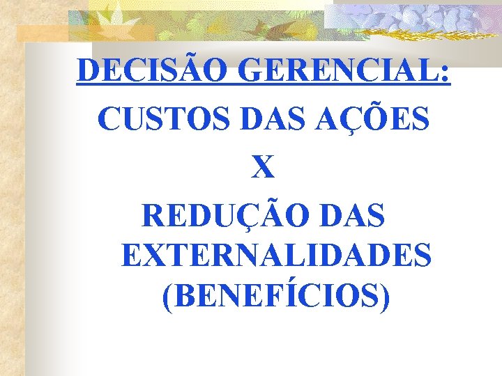 DECISÃO GERENCIAL: CUSTOS DAS AÇÕES X REDUÇÃO DAS EXTERNALIDADES (BENEFÍCIOS) 