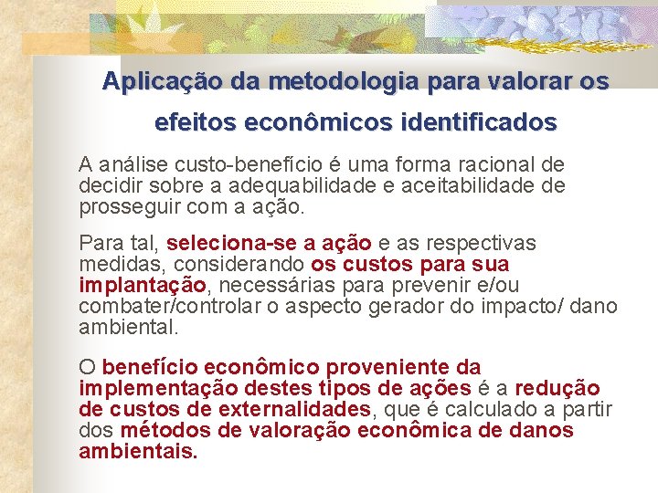 Aplicação da metodologia para valorar os efeitos econômicos identificados A análise custo-benefício é uma