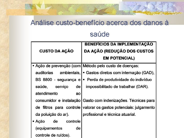 Análise custo-benefício acerca dos danos à saúde 