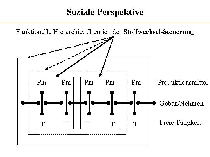 Soziale Perspektive Funktionelle Hierarchie: Gremien der Stoffwechsel-Steuerung Pm Pm Pm Produktionsmittel Geben/Nehmen T T