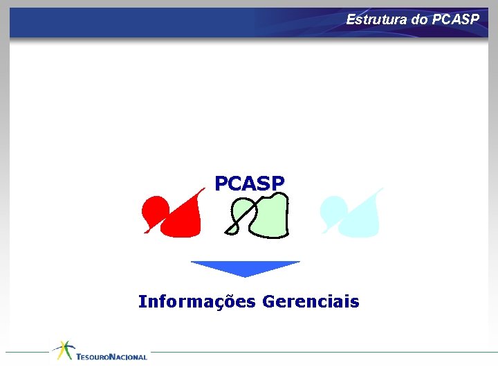 Estrutura do PCASP Informações Gerenciais 