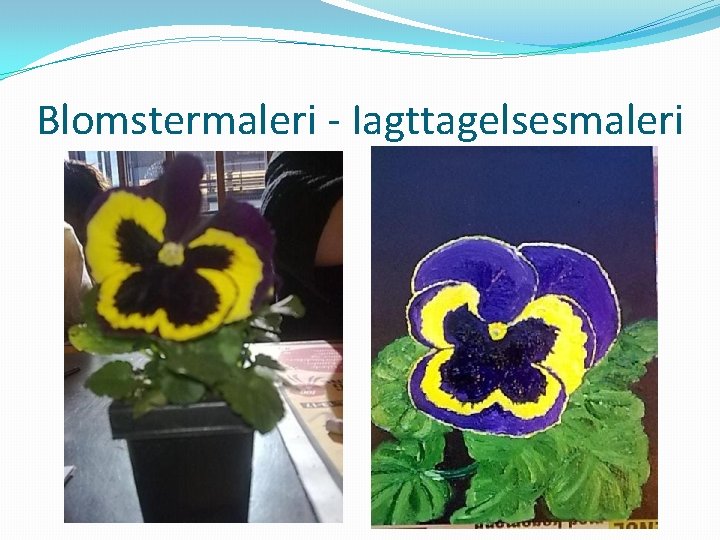 Blomstermaleri - Iagttagelsesmaleri 