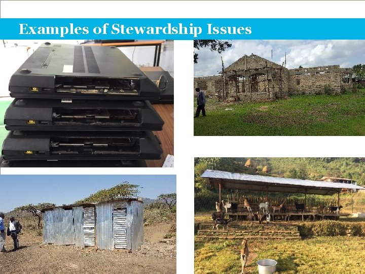 Examples of Stewardship Issues TITLE | 21 