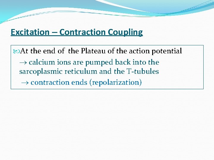 Excitation – Contraction Coupling At the end of the Plateau of the action potential