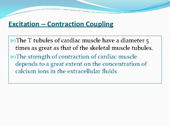 Excitation – Contraction Coupling The T tubules of cardiac muscle have a diameter 5