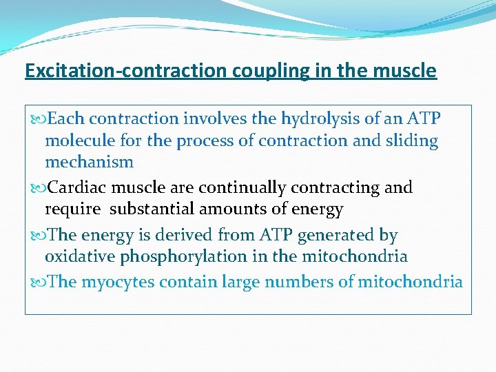 Excitation-contraction coupling in the muscle Each contraction involves the hydrolysis of an ATP molecule