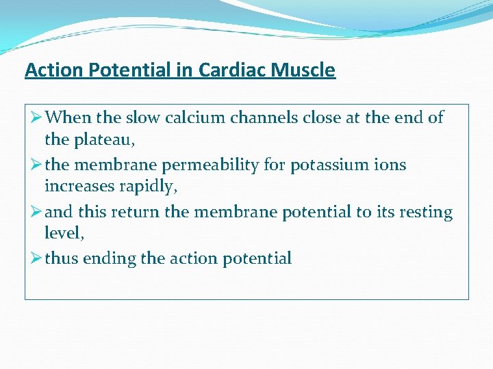 Action Potential in Cardiac Muscle Ø When the slow calcium channels close at the
