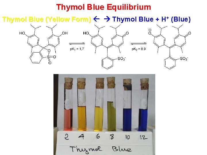 Thymol Blue Equilibrium Thymol Blue (Yellow Form) Thymol Blue + H+ (Blue) 