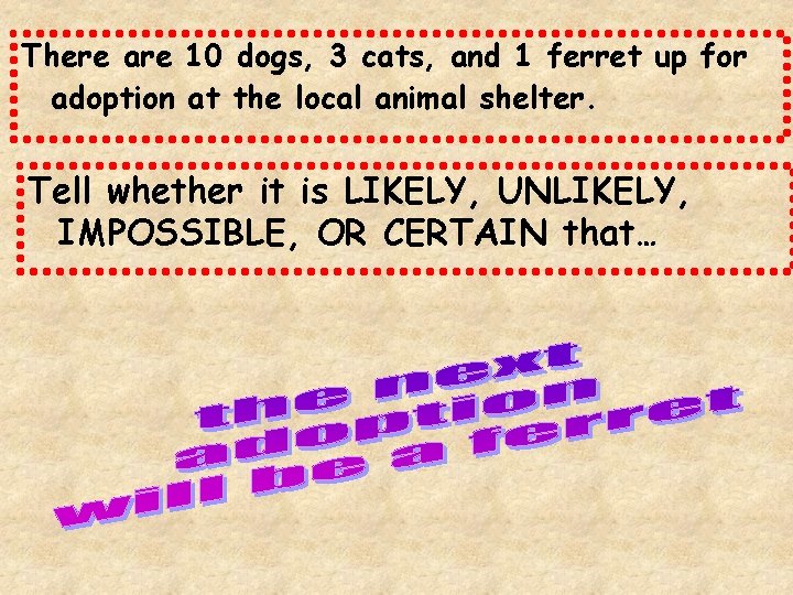 There are 10 dogs, 3 cats, and 1 ferret up for adoption at the