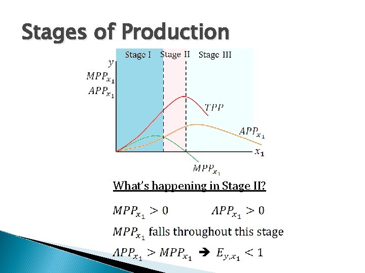 Stages of Production What’s happening in Stage II? 