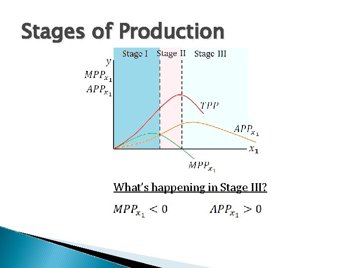 Stages of Production What’s happening in Stage III? 