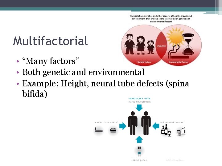 Multifactorial • “Many factors” • Both genetic and environmental • Example: Height, neural tube