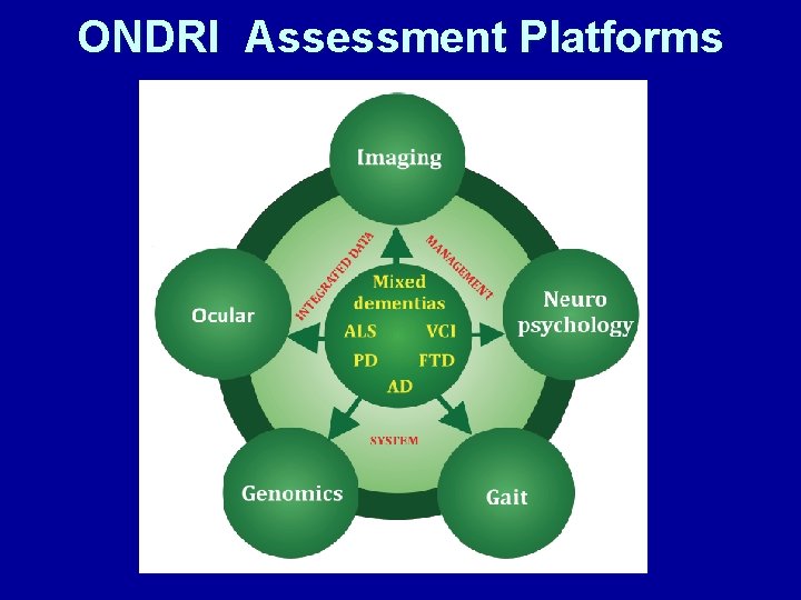 ONDRI Assessment Platforms 