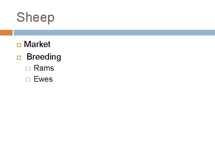 Sheep Market Breeding � � Rams Ewes 