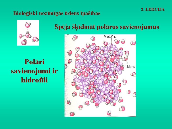Bioloģiski nozīmīgās ūdens īpašības 2. LEKCIJA Spēja šķīdināt polārus savienojumus Polāri savienojumi ir hidrofīli