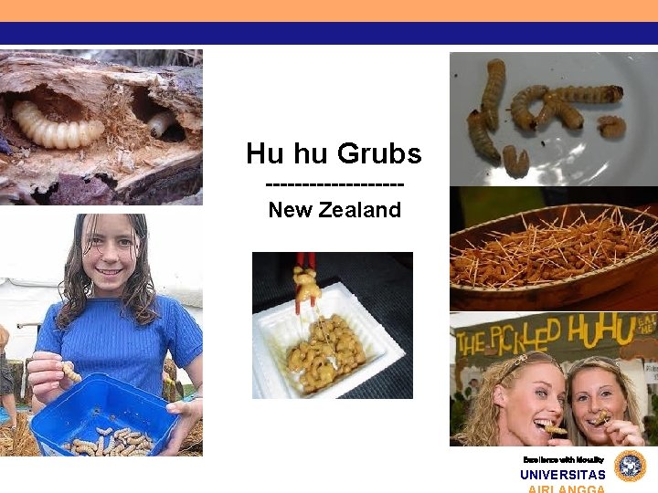 Hu hu Grubs ---------New Zealand Excellence with Morality UNIVERSITAS 