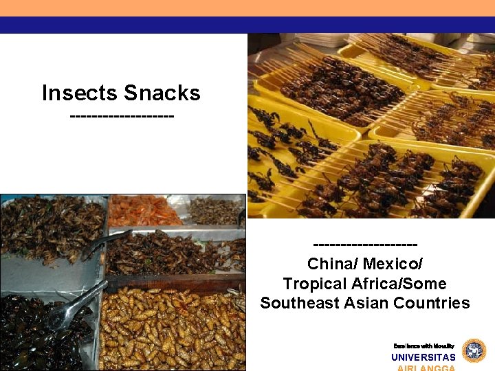 Insects Snacks ----------China/ Mexico/ Tropical Africa/Some Southeast Asian Countries Excellence with Morality UNIVERSITAS 