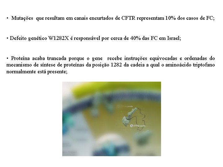  • Mutações que resultam em canais encurtados de CFTR representam 10% dos casos