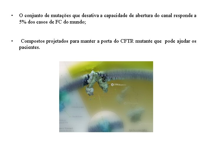  • O conjunto de mutações que desativa a capacidade de abertura do canal