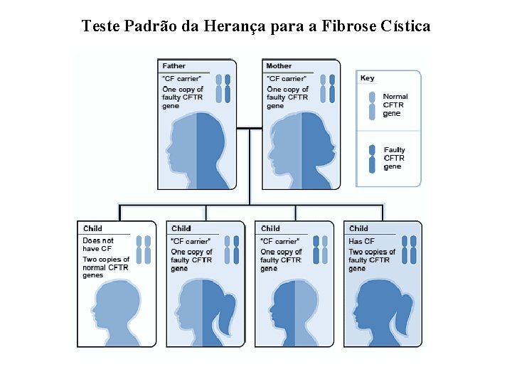 Teste Padrão da Herança para a Fibrose Cística 